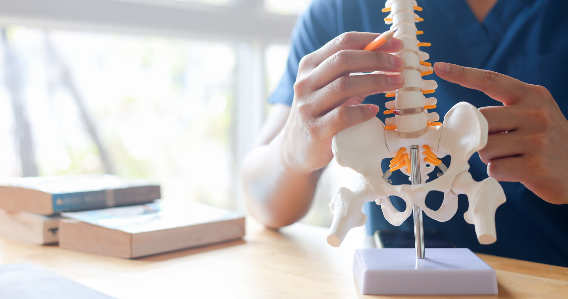 A clinician demonstrates anatomical concepts related to the treatment of back pain in Long Island by holding and indicating key structures on a detailed model of the human spine and pelvis. Medical reference texts are arranged on a nearby table, while natural light enters through windows in the background, creating an environment conducive to patient education and consultation.